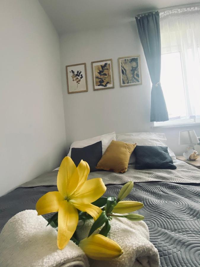 Apartamenty Majka 자토르 외부 사진